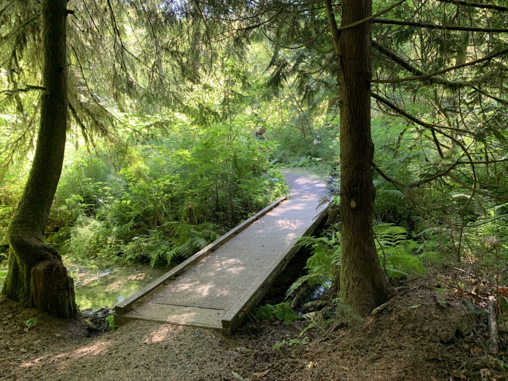 Watershed Park, Olympia, Washington