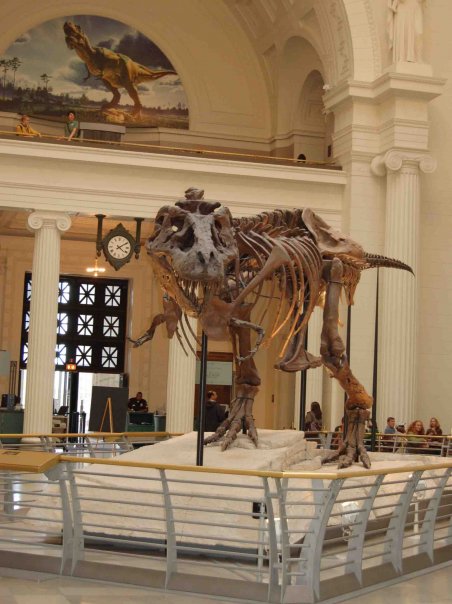 Sue, Field Museum, Chicago, Illinois